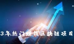 2023年热门赚钱区块链项目