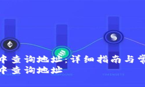 如何在TP钱包中查询地址：详细指南与常见问题解答  
如何在TP钱包中查询地址