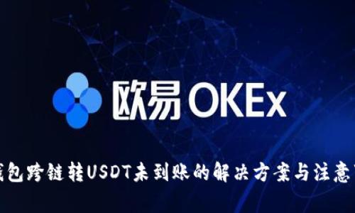 TP钱包跨链转USDT未到账的解决方案与注意事项