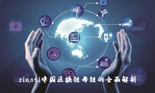 ziaoti中国区块链母链的全面解析