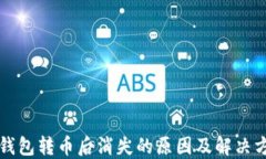 TP钱包转币后消失的原因及