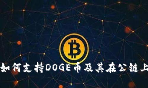 TP钱包如何支持DOGE币及其在公链上的应用