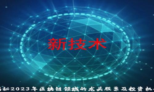 
揭秘2023年区块链领域的龙头股票及投资机会