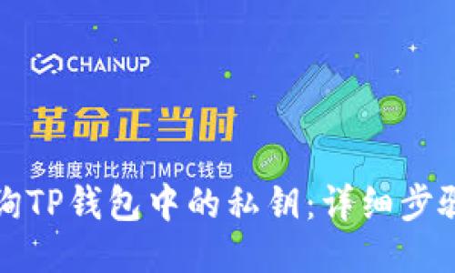 如何查询TP钱包中的私钥：详细步骤与指导