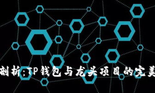 深入剖析：TP钱包与龙头项目的完美结合
