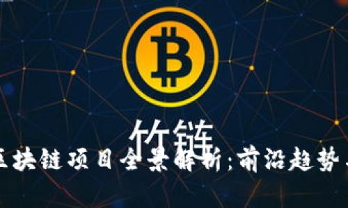 高密电商区块链项目全景解析：前沿趋势与潜在机会