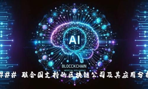 ### 联合国支持的区块链公司及其应用分析