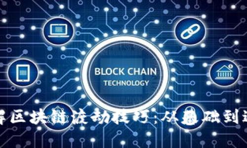 深入了解区块链渡劫技巧：从基础到进阶策略