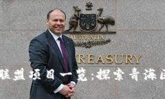 青海区块链联盟项目一览