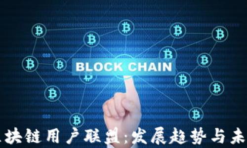 
解析区块链用户联盟：发展趋势与未来展望