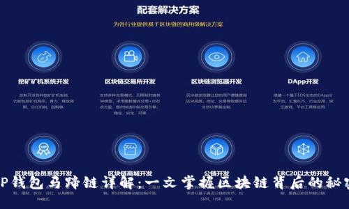 TP钱包马蹄链详解：一文掌握区块链背后的秘密