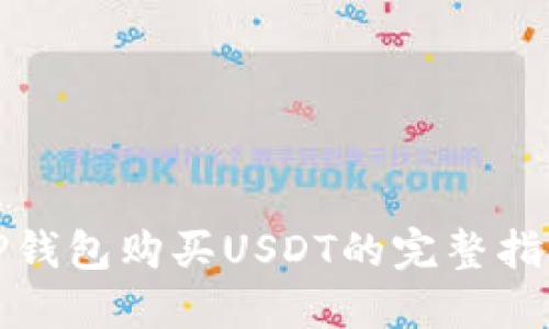 TP钱包购买USDT的完整指南