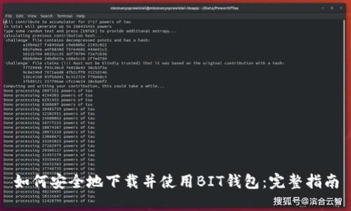 如何安全地下载并使用BIT钱包：完整指南