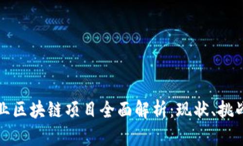 武汉工业区块链项目全面解析：现状、挑战与未来