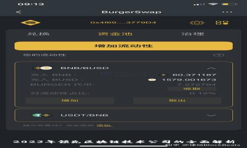 2023年领先区块链技术公司的全面解析