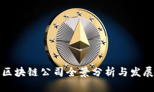 岳阳区块链公司全景分析与发展前景