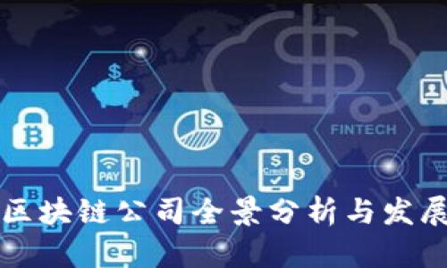 岳阳区块链公司全景分析与发展前景
