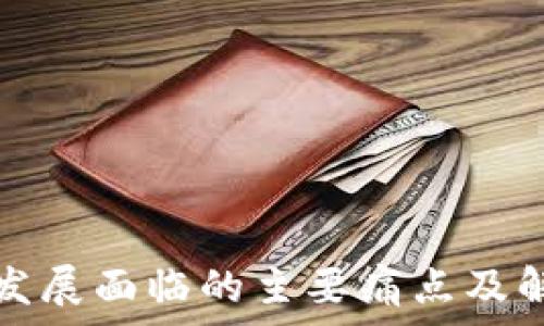  
区块链发展面临的主要痛点及解决方案