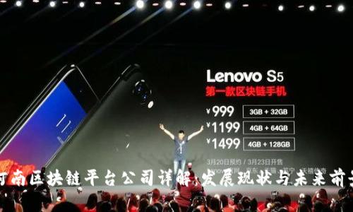 河南区块链平台公司详解：发展现状与未来前景