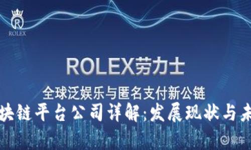 河南区块链平台公司详解：发展现状与未来前景