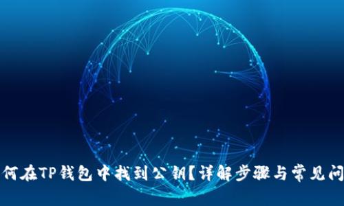 如何在TP钱包中找到公钥？详解步骤与常见问题