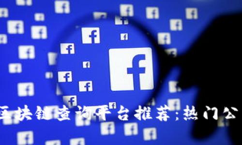 2023年区块链查询平台推荐：热门公司全解析