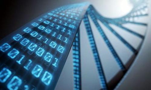   区块链考核题目详解：全面掌握各类考核形式 / 

 guanjianci 区块链考核, 区块链题目类型, 区块链知识测评, 区块链考试 /guanjianci 

### 内容主体大纲

1. **引言**
   - 什么是区块链？
   - 区块链的应用背景
   - 考核的重要性

2. **区块链考核的目的**
   - 评估知识掌握情况
   - 促进深入学习
   - 行业内资质认证

3. **区块链考核题目类型**
   - 选择题
   - 判断题
   - 简答题
   - 论述题
   - 实践操作题

4. **选择题的特点与示例**
   - 选择题结构
   - 示例题目分析

5. **判断题的特点与示例**
   - 判断题的评估方式
   - 示例题目分析

6. **简答题的特点与示例**
   - 简答题的评分标准
   - 示例题目分析

7. **论述题的特点与示例**
   - 论述题的深度要求
   - 示例题目分析

8. **实践操作题的特点与示例**
   - 实践操作题的评估方式
   - 示例题目分析

9. **如何准备区块链考核**
   - 学习材料推荐
   - 实践与理论结合的重要性

10. **总结**
    - 区块链考核题目的多样性
    - 深入学习的重要性

### 引言

区块链技术作为近几年迅猛发展的新兴技术，引起了全球范围内的广泛关注与应用。无论是在金融、物流、供应链，还是在医疗、版权、身份认证等领域，区块链都展现出了巨大的潜力。然而，随着区块链人才需求的增加，考核区块链知识的必要性也显得尤为重要。本文将深入探讨区块链考核题目的多样化类型及其特征，以帮助考生更好地准备相关考试。

### 区块链考核的目的

区块链考核的目的并不仅仅是为了检测受试者的理论知识，更多的是希望通过考核加深学习的深度，评估专业能力，推动行业标准的建立。同时，区块链作为一种新的技术架构，对从业人员的专业素养和实际操作能力也提出了更高的要求。因此，通过系统的考核有助于提高从业人员的综合能力。

### 区块链考核题目类型

区块链考核可以通过多种题型进行，主要包括选择题、判断题、简答题、论述题以及实践操作题。每种题型都有其特定的考核目的，反映了应试者对区块链知识的不同深度的掌握。

#### 选择题

选择题一般用于考查考生对基础知识的理解程度，题目形式简单明了，适合大规模考核。在区块链考核中，选择题常常涉及基本概念、技术原理、应用场景等。

##### 示例题目分析

例如：“区块链的核心特点包括以下哪一项？A. 中心化 B. 去中心化 C. 高隐私 D. 高交易费用”。这个问题不仅考查了基础知识，同时也能够判断考生对区块链特性的理解。

#### 判断题

判断题通常通过简单的“对”或“错”来评价知识掌握情况。这种题型简明扼要，适合快速评定考生对特定知识点的认可。

##### 示例题目分析

例如：“区块链技术支持匿名交易，正确吗？”考生答对与否，可迅速显示出他们对区块链交易特性真实性的认识。

#### 简答题

简答题要求考生用的语言回答问题，通常涉及更深层次的理解与应用。

##### 示例题目分析

例如：“请简要说明什么是智能合约及其应用场景。”这种提问帮助评估考生对特定概念的执行能力和思考深度。

#### 论述题

论述题通常要求考生对某一主题进行全面的分析与论证，考查其逻辑思维和表达能力。

##### 示例题目分析

例如：“论述区块链技术在金融行业中的应用现状与未来发展。”该题要求考生深入分析并提出自己的看法，能有效检验思辨能力。

#### 实践操作题

实践操作题是区块链考核中非常重要的一环，通过实际操作，考查应试者的实务能力和技术应用水平。

##### 示例题目分析

例如：“请使用某区块链平台创建一个新的智能合约并进行演示。”这种题目不仅要求理论知识的积累，还需要技术能力的实际运用。

### 如何准备区块链考核

为了更好地准备区块链考核，考生可以从多个角度出发，选择合适的学习材料，参与实践项目，结合实时的案例分析，从而全面提升自身的能力。

### 总结

区块链考核题目的多样性反映了这一领域的复杂性和丰富性。掌握不同题型的特点和应对策略，将有助于考生在未来的考核中取得优异成绩。

### 相关问题与解答

#### 1. 区块链选择题如何有效复习？

区块链选择题如何有效复习？
选择题是区块链考核中常见的一种题型，针对选择题的复习方法可以概括为以下几点：
首先，建立知识框架。选择题往往考察基础知识，考生可以通过建立一个完整的知识框架来理清概念与原理之间的关系。
其次，做习题集。通过做往年的考卷和模拟题，可以训练自己的答题能力，并加深对知识点的印象。
再次，参与学习小组。与他人讨论和交流不仅可以加深理解，还能获得不同的视角，提高自己的思维广度。
最后，关注最新动态。区块链技术发展迅速，保持对行业动态的关注，有助于在考核中更好地应对变化。

#### 2. 判断题在考核中的意义是什么？

判断题在考核中的意义是什么？
判断题在区块链考核中具有多个重要意义。首先，它可以快速评估考生对特定知识点的认识，能够在较短的时间内获得考生的基本认知能力评价。
其次，判断题能够帮助考生克服记忆障碍。通过“对”和“错”的方式，可以帮助学习者更好地记忆信息，加深对区块链基本概念的理解。
此外，判断题可以促进考生的批判性思维能力。面对每个判断题，考生必须具备快速分析和判断的能力，这对实际工作中应对复杂问题的能力培养也有帮助。

#### 3. 简答题和论述题的区别是什么？

简答题和论述题的区别是什么？
简答题和论述题在考核形式上存在明显区别。简答题通常要求考生给出一个简洁的答案，通常是在1-3句话内说明某个概念或理论。在答题时，考生需要清晰明了地表达思想，但不需要深入分析。
而论述题则要求考生进行较为深入的分析与论证，通常需要几百字的长度，以展现考生对某一主题的理解深度和逻辑思考能力。在论述题中，考生需要运用相关知识开展多角度的讨论，给出自己的观点，因此其难度较高。

#### 4. 实践操作题如何有效备考？

实践操作题如何有效备考？
为了有效备考实践操作题，考生可以从几个方面着手。首先，需要熟悉相关工具和平台。不同的区块链平台可能有不同的操作界面和功能，考生应该在考试前对所需使用的工具进行深入练习。
其次，进行模拟实操。通过模拟考试来实际操作，能够帮助考生找出自身的短板并加以改进，从而达到熟练掌握的效果。
此外，参与实际项目。通过团队合作或独立项目，提升自己的实操能力和团队合作能力，有助于提高解决实际问题的能力。

#### 5. 如何提高区块链考试的整体通过率？

如何提高区块链考试的整体通过率？
提高区块链考试通过率的关键在于制定科学的复习计划。首先，考生需要清晰了解考试大纲，围绕核心知识点开展复习，确保不漏掉重要内容。
其次，定期自我测试。通过定期的模拟考试，检验复习效果，发现自身的薄弱环节，从而有针对性地进行补充学习。
另外，争取参加主题研讨会、交流会等，主动同业内人士交流，可以增加对知识的理解与认知，拓宽视野。

#### 6. 未来区块链考核的趋势是什么？

未来区块链考核的趋势是什么？
未来区块链考核将呈现出多样化与个性化的趋势。一方面，考核将越来越注重实操能力，而不仅仅依赖于理论知识，实践操作类题目将成为重要考察项目。
另一方面，基于人工智能和大数据的个性化考核方式将越来越流行，能够根据考生的真实水平与兴趣点提供针对性的学习与评估方案。
此外，行业认证也将成为趋势。随着区块链行业的发展，将会有专业的认证机构为从业者提供权威的职业资质认证，从而提升行业水平。

以上内容共涵盖区块链考核题目类型的探讨，旨在帮助考生全面理解并做好准备。每一个细节都可能影响考试成功与否，因此认真的复习与准备至关重要。