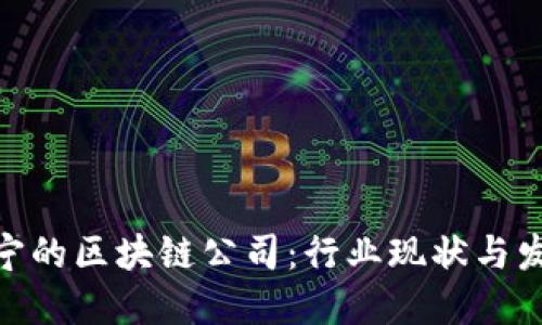 探索西宁的区块链公司：行业现状与发展机遇