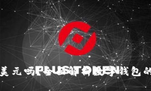 tp钱包里的钱是美元吗?全面解析数字钱包的汇率和货币种类