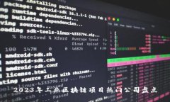 2023年工业区块链项目热门