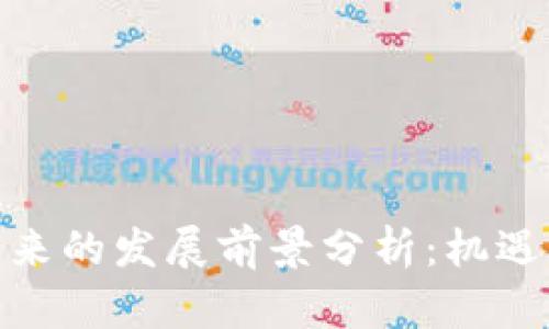 : 区块链未来的发展前景分析：机遇与挑战并存