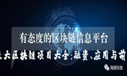 国内最大区块链项目大全：融资、应用与前景分析