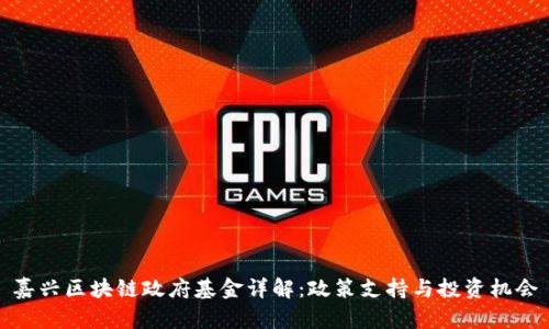 嘉兴区块链政府基金详解：政策支持与投资机会