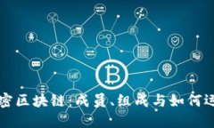 解密区块链：成员、组成