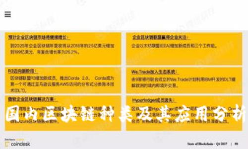 国内区块链种类及其应用分析